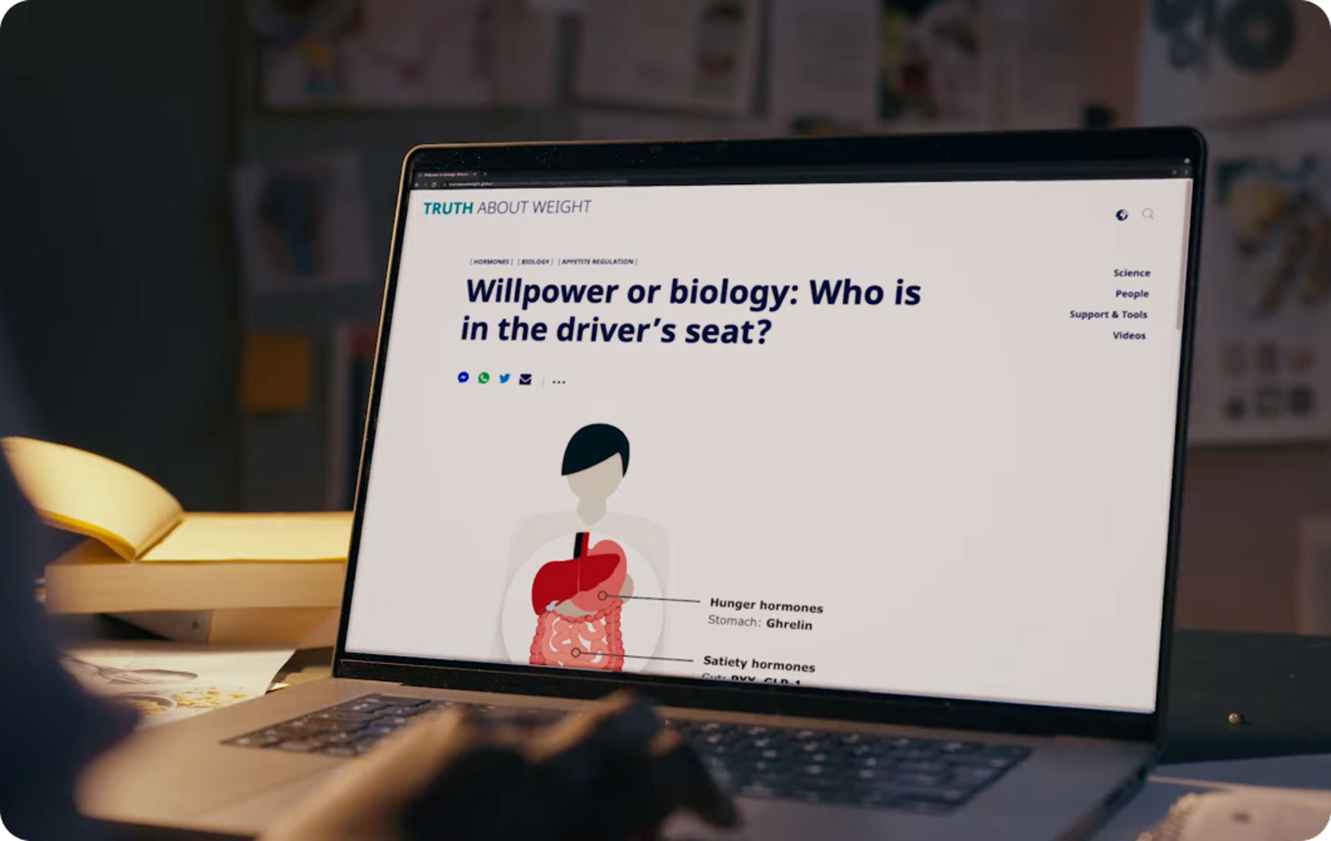 supporting-people-with-obesity