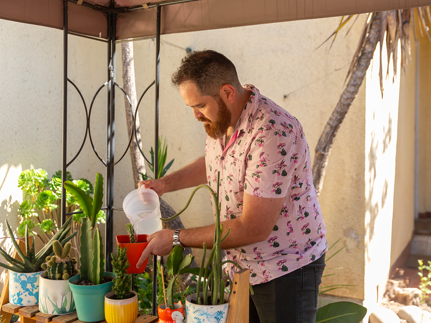 Choosing a scientifically-proven eating plan for weight management